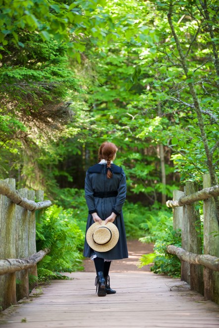 14220513178_a6d9161947_o