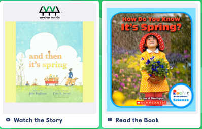 Screen Shot 2020-03-30 at 9.26.19 AM